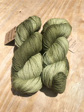 Load image into Gallery viewer, Araucania Huasco Sock Kettle Dyes