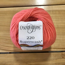 Load image into Gallery viewer, Cascade 220 Superwash